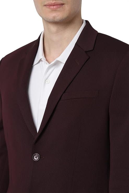 Peter England Men’s Neo Slim Knit Textured Wine